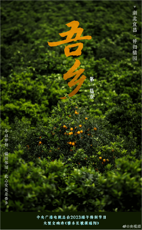 方正苏轼行书应用案例